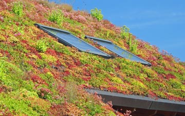 Felldyke living roof systems